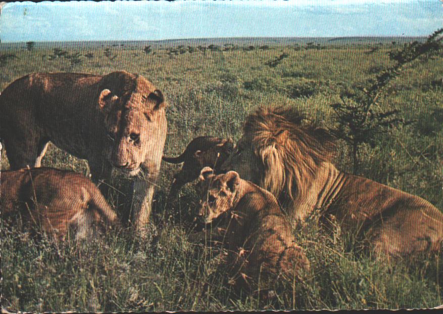 Kenya