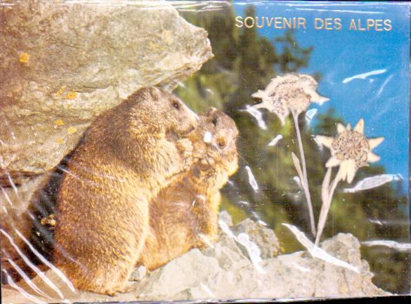 Cartes postales anciennes > CARTES POSTALES > carte postale ancienne > cartes-postales-ancienne.com Suisse