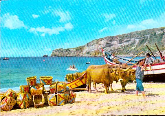 Cartes postales anciennes > CARTES POSTALES > carte postale ancienne > cartes-postales-ancienne.com Union europeenne Portugal