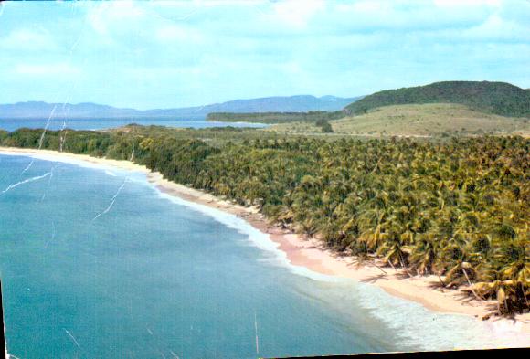 Cartes postales anciennes > CARTES POSTALES > carte postale ancienne > cartes-postales-ancienne.com Antilles francaises Martinique.