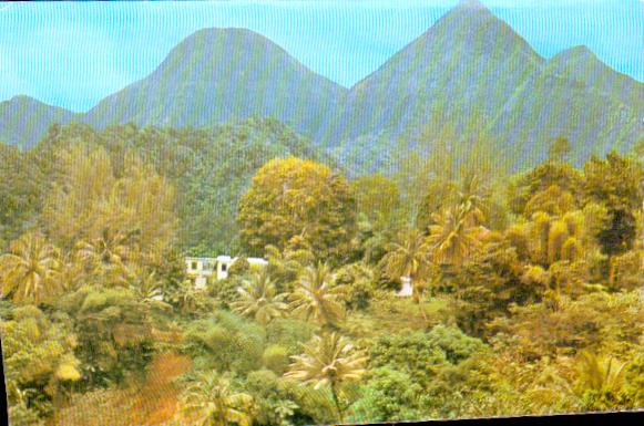 Cartes postales anciennes > CARTES POSTALES > carte postale ancienne > cartes-postales-ancienne.com Antilles francaises Martinique. Sainte marie