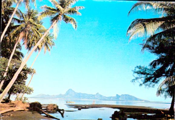 Polynesia
