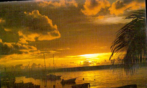 Ile de la reunion Saint louis