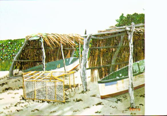 French antilles Saint barthelemy
