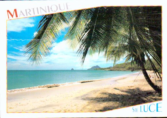 French antilles Martinique Sainte luce