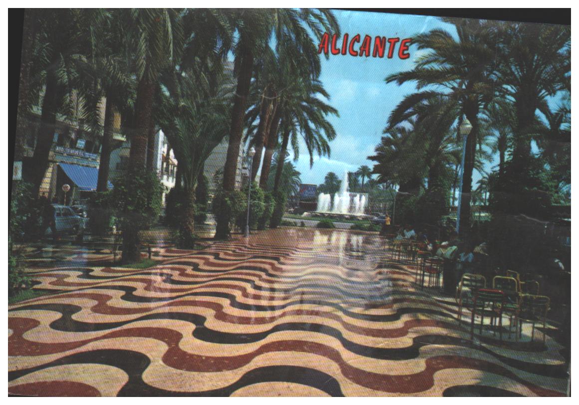 European union Spain Alicante