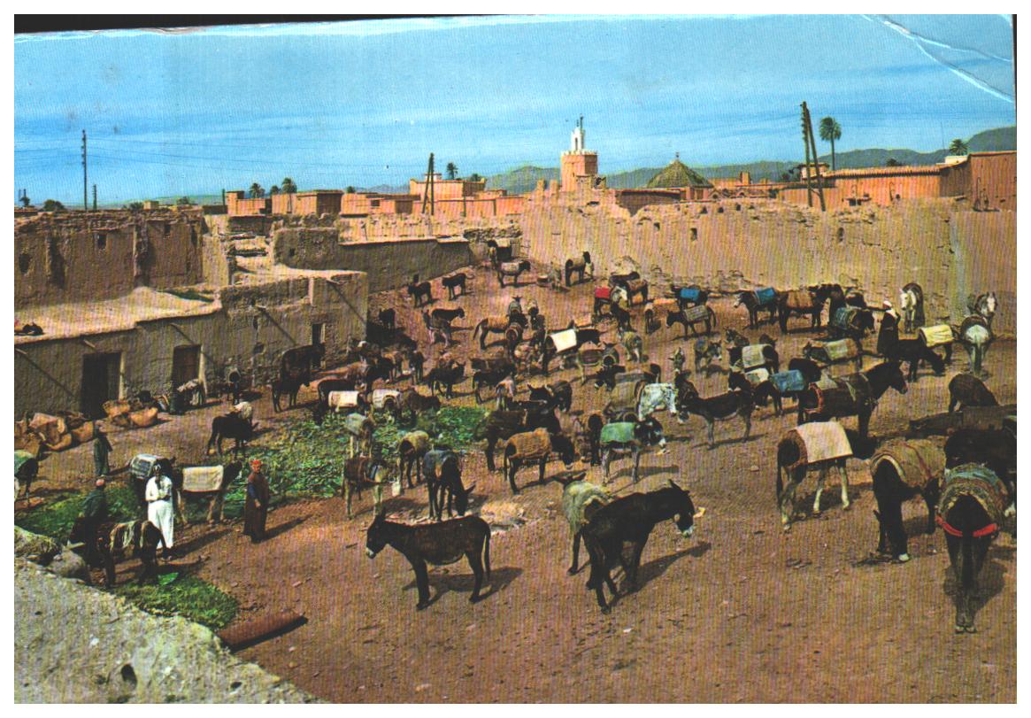 Cartes postales anciennes > CARTES POSTALES > carte postale ancienne > cartes-postales-ancienne.com Maroc Taroudant