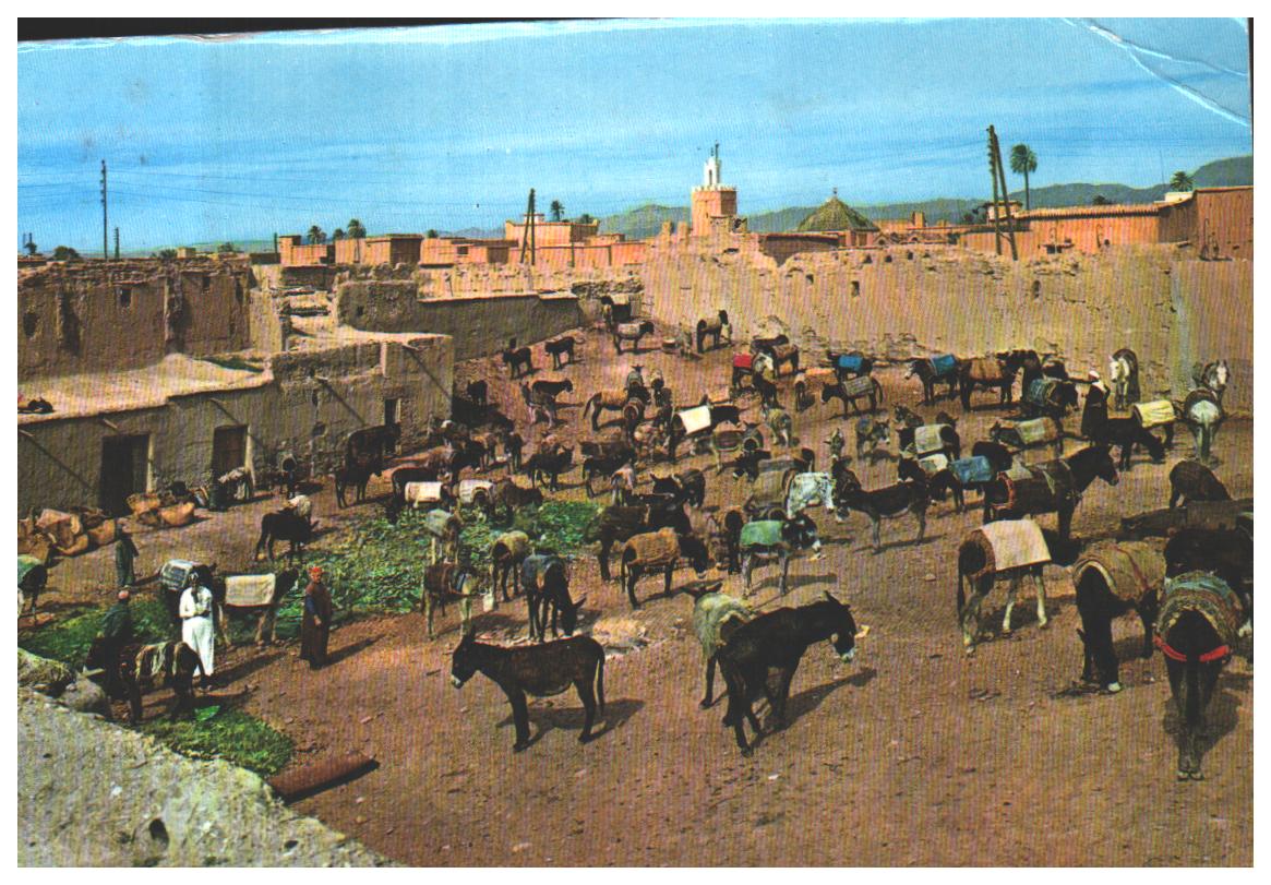 Cartes postales anciennes > CARTES POSTALES > carte postale ancienne > cartes-postales-ancienne.com Maroc