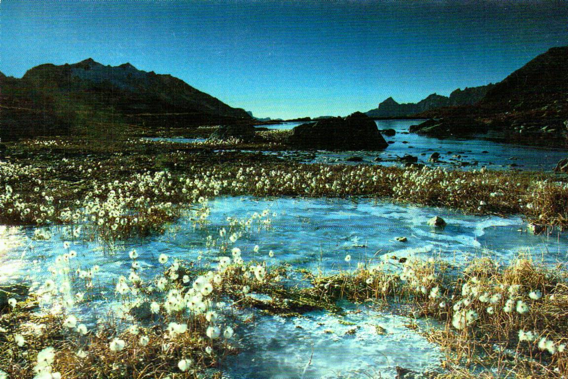 Cartes postales anciennes > CARTES POSTALES > carte postale ancienne > cartes-postales-ancienne.com Suisse