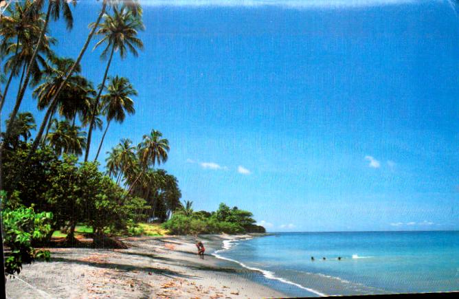 French antilles