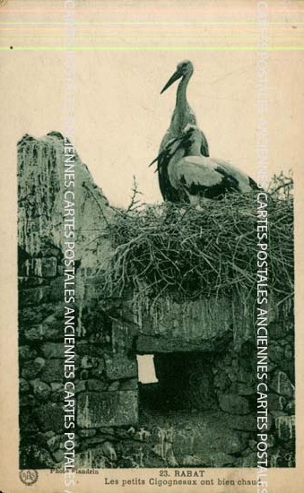 Cartes postales anciennes > CARTES POSTALES > carte postale ancienne > cartes-postales-ancienne.com Divers monde