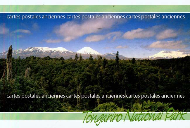 Cartes postales anciennes > CARTES POSTALES > carte postale ancienne > cartes-postales-ancienne.com Nouvelle zelande
