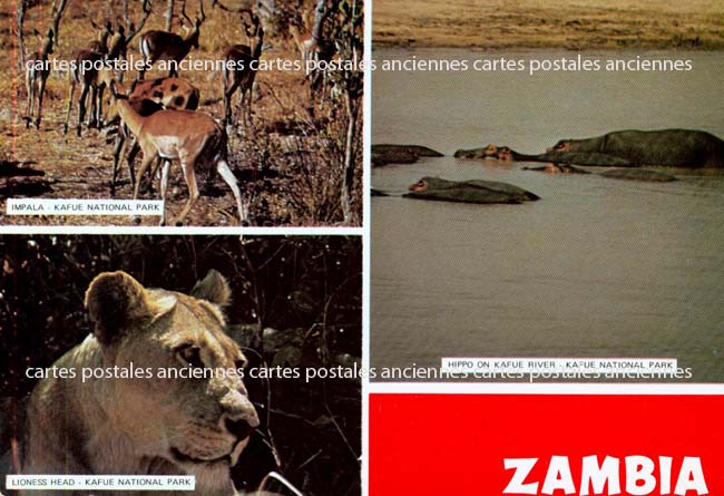Cartes postales anciennes > CARTES POSTALES > carte postale ancienne > cartes-postales-ancienne.com Zambie