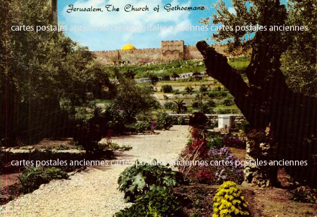 Cartes postales anciennes > CARTES POSTALES > carte postale ancienne > cartes-postales-ancienne.com Palestine