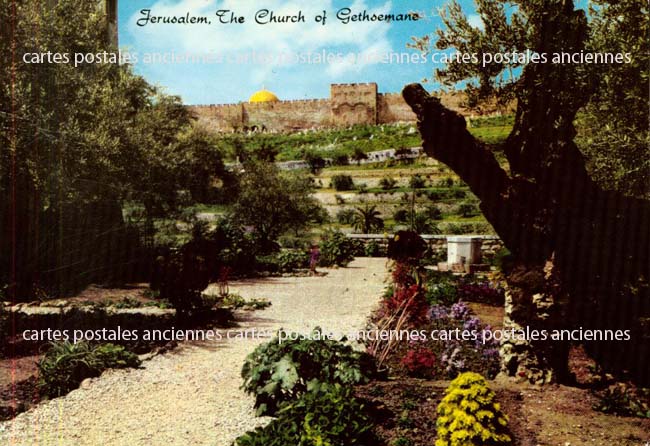 Cartes postales anciennes > CARTES POSTALES > carte postale ancienne > cartes-postales-ancienne.com Palestine Jerusalem palestine