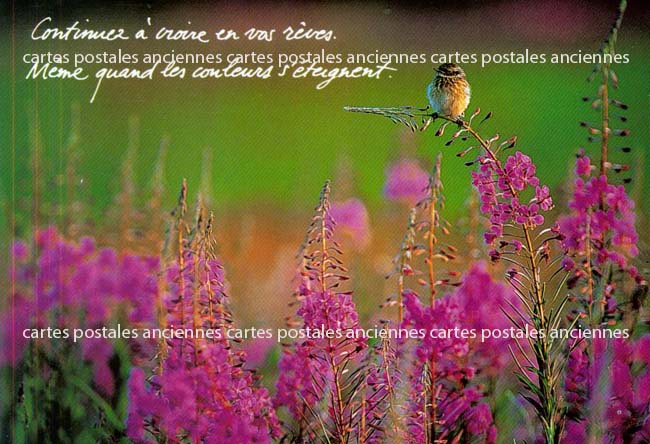 Cartes postales anciennes > CARTES POSTALES > carte postale ancienne > cartes-postales-ancienne.com Divers monde