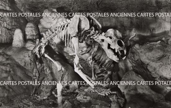 Cartes postales anciennes > CARTES POSTALES > carte postale ancienne > cartes-postales-ancienne.com