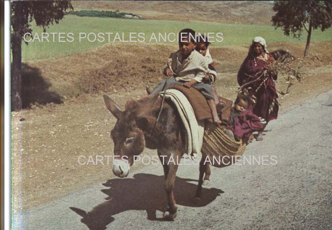 Cartes postales anciennes > CARTES POSTALES > carte postale ancienne > cartes-postales-ancienne.com Tunisie Tunis