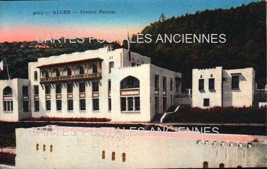 Cartes postales anciennes > CARTES POSTALES > carte postale ancienne > cartes-postales-ancienne.com Algerie Alger