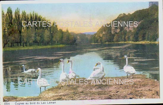 Cartes postales anciennes > CARTES POSTALES > carte postale ancienne > cartes-postales-ancienne.com Suisse