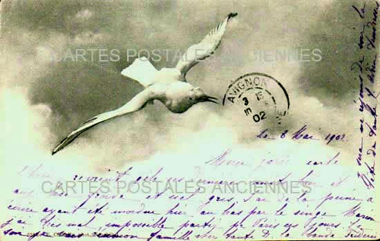 Cartes postales anciennes > CARTES POSTALES > carte postale ancienne > cartes-postales-ancienne.com Oiseaux