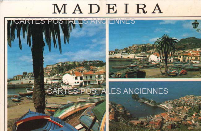 Cartes postales anciennes > CARTES POSTALES > carte postale ancienne > cartes-postales-ancienne.com Union europeenne Portugal Ile de madere