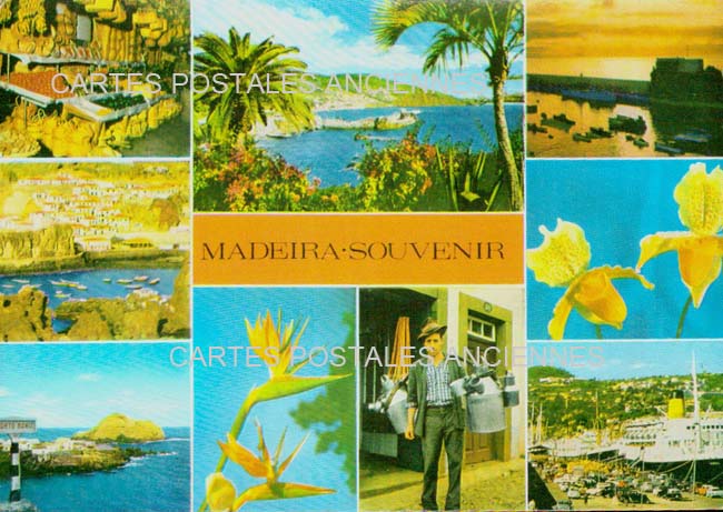 Cartes postales anciennes > CARTES POSTALES > carte postale ancienne > cartes-postales-ancienne.com Union europeenne Portugal Madeira