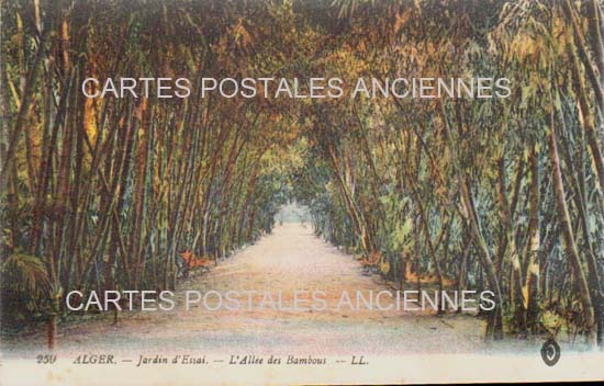 Cartes postales anciennes > CARTES POSTALES > carte postale ancienne > cartes-postales-ancienne.com Algerie Alger