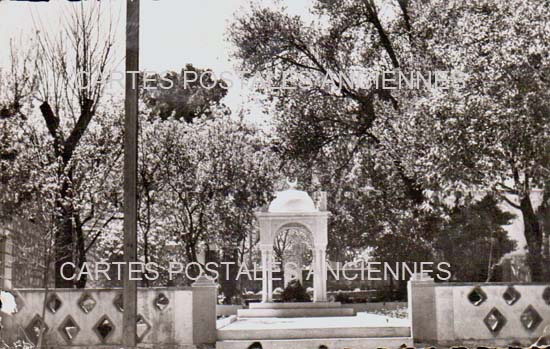 Algeria Chellala reibell