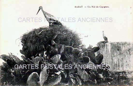 Cartes postales anciennes > CARTES POSTALES > carte postale ancienne > cartes-postales-ancienne.com