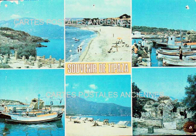 Cartes postales anciennes > CARTES POSTALES > carte postale ancienne > cartes-postales-ancienne.com Algerie Tipaza