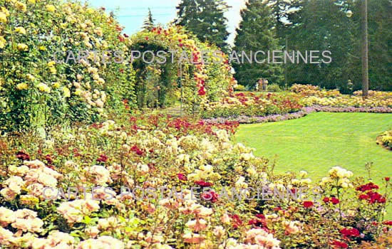 Cartes postales anciennes > CARTES POSTALES > carte postale ancienne > cartes-postales-ancienne.com Canada