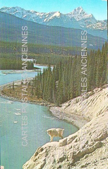 Cartes postales anciennes > CARTES POSTALES > carte postale ancienne > cartes-postales-ancienne.com Canada