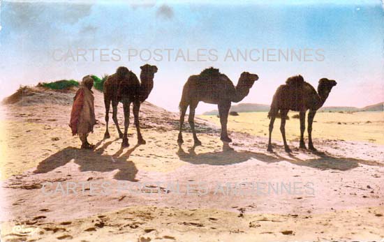 Cartes postales anciennes > CARTES POSTALES > carte postale ancienne > cartes-postales-ancienne.com