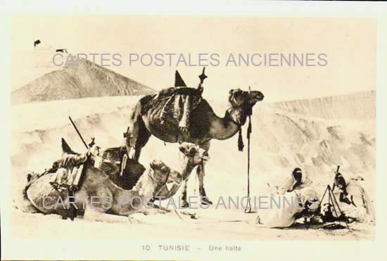 Cartes postales anciennes > CARTES POSTALES > carte postale ancienne > cartes-postales-ancienne.com Tunisie Scenes et types tradition