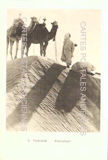 Tunisia Scenes et types tradition