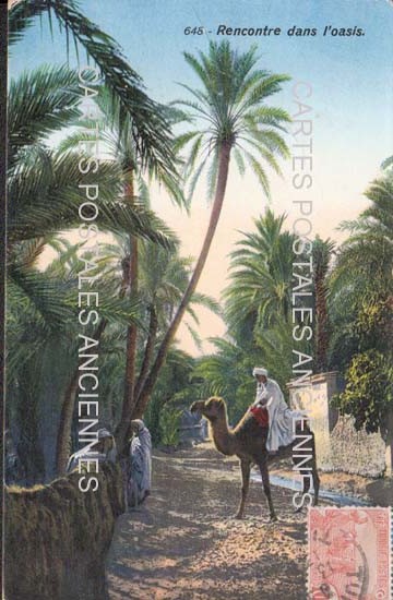 Tunisia Scenes et types tradition