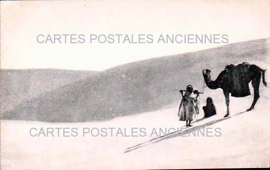 Tunisia Scenes et types tradition