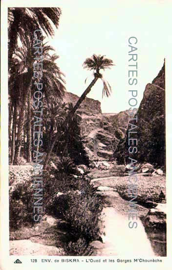 Cartes postales anciennes > CARTES POSTALES > carte postale ancienne > cartes-postales-ancienne.com Algerie Biskra