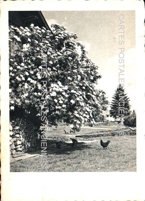 Cartes postales anciennes > CARTES POSTALES > carte postale ancienne > cartes-postales-ancienne.com Union europeenne Allemagne