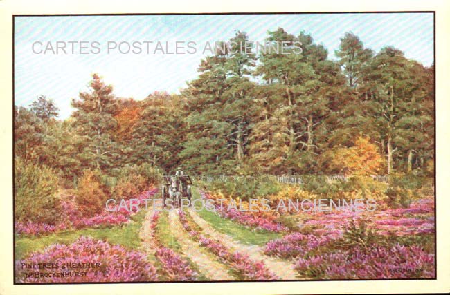 Cartes postales anciennes > CARTES POSTALES > carte postale ancienne > cartes-postales-ancienne.com Angleterre Brockenhurst