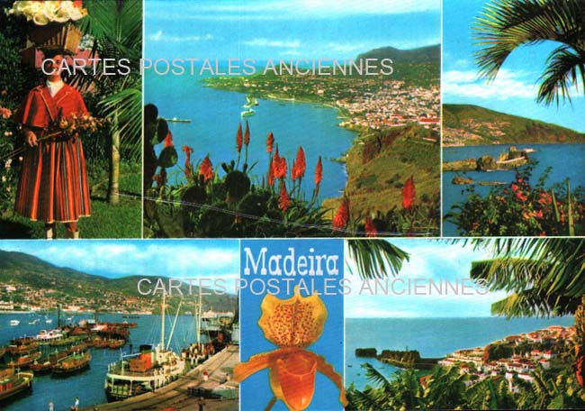 Cartes postales anciennes > CARTES POSTALES > carte postale ancienne > cartes-postales-ancienne.com Union europeenne Portugal Madeira