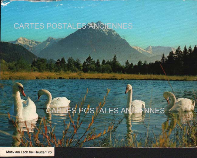 Cartes postales anciennes > CARTES POSTALES > carte postale ancienne > cartes-postales-ancienne.com Union europeenne Autriche