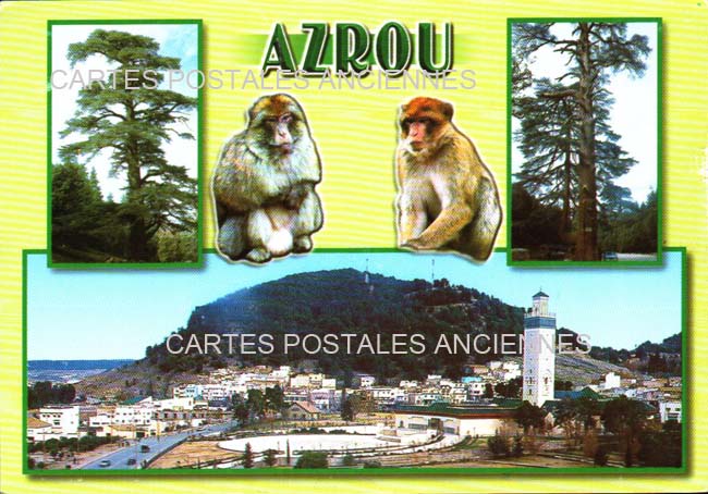 Cartes postales anciennes > CARTES POSTALES > carte postale ancienne > cartes-postales-ancienne.com Maroc Azrou