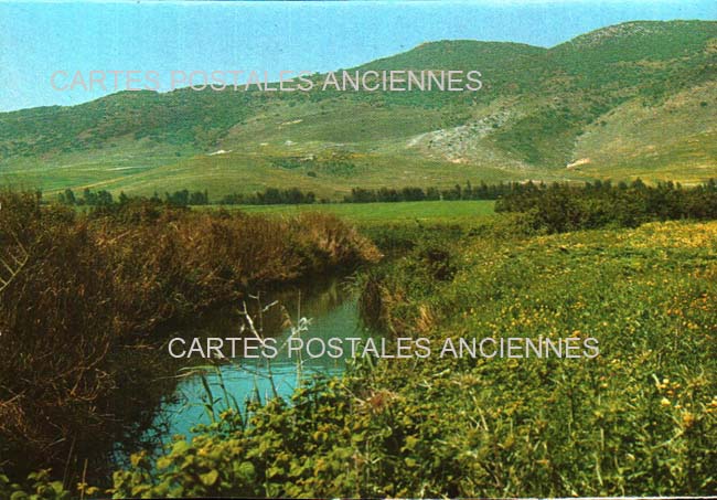 Cartes postales anciennes > CARTES POSTALES > carte postale ancienne > cartes-postales-ancienne.com Israel Nazareth