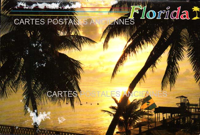 Cartes postales anciennes > CARTES POSTALES > carte postale ancienne > cartes-postales-ancienne.com Etats unis Floride Palm tree