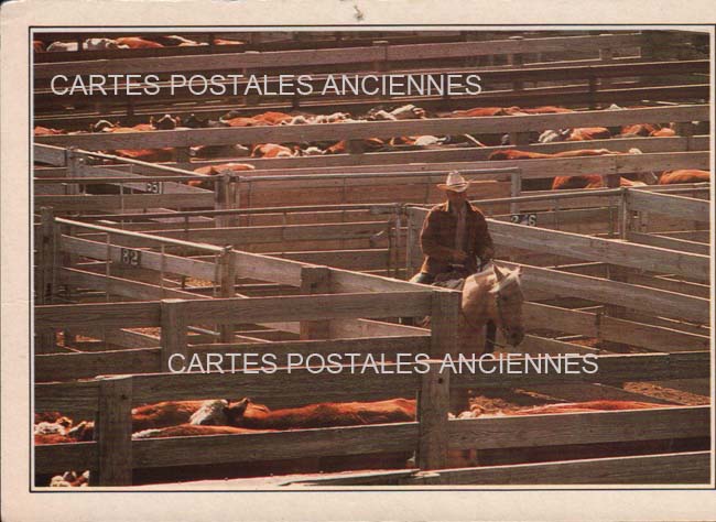 Cartes postales anciennes > CARTES POSTALES > carte postale ancienne > cartes-postales-ancienne.com Etats unis Texas