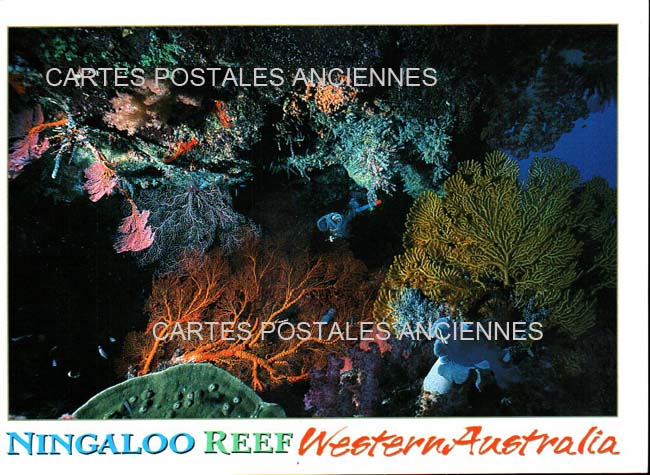 Cartes postales anciennes > CARTES POSTALES > carte postale ancienne > cartes-postales-ancienne.com Australie