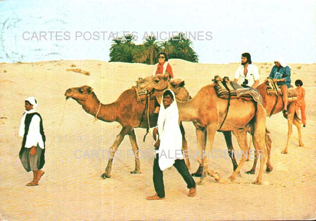 Cartes postales anciennes > CARTES POSTALES > carte postale ancienne > cartes-postales-ancienne.com Tunisie  ile de djerba