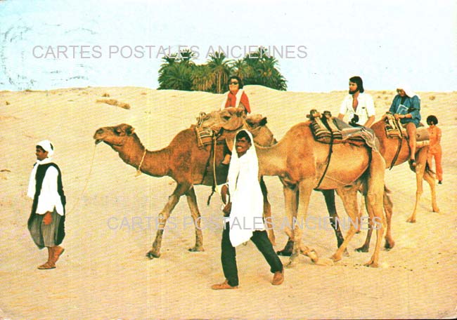 Cartes postales anciennes > CARTES POSTALES > carte postale ancienne > cartes-postales-ancienne.com Tunisie  ile de djerba